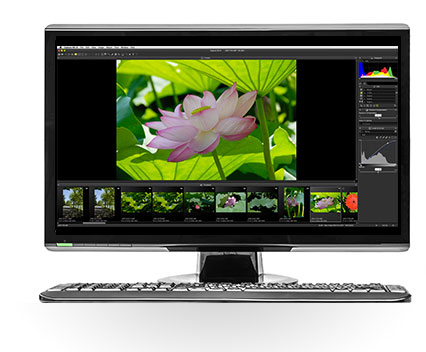 Nikon software for mac